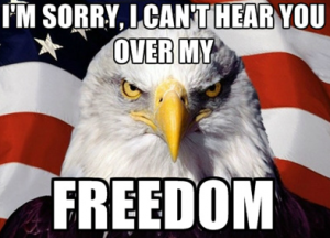 Angry bald eagle says I'm sorry I can't hear you over my FREEDOM