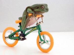 A frog riding a tiny bicycle